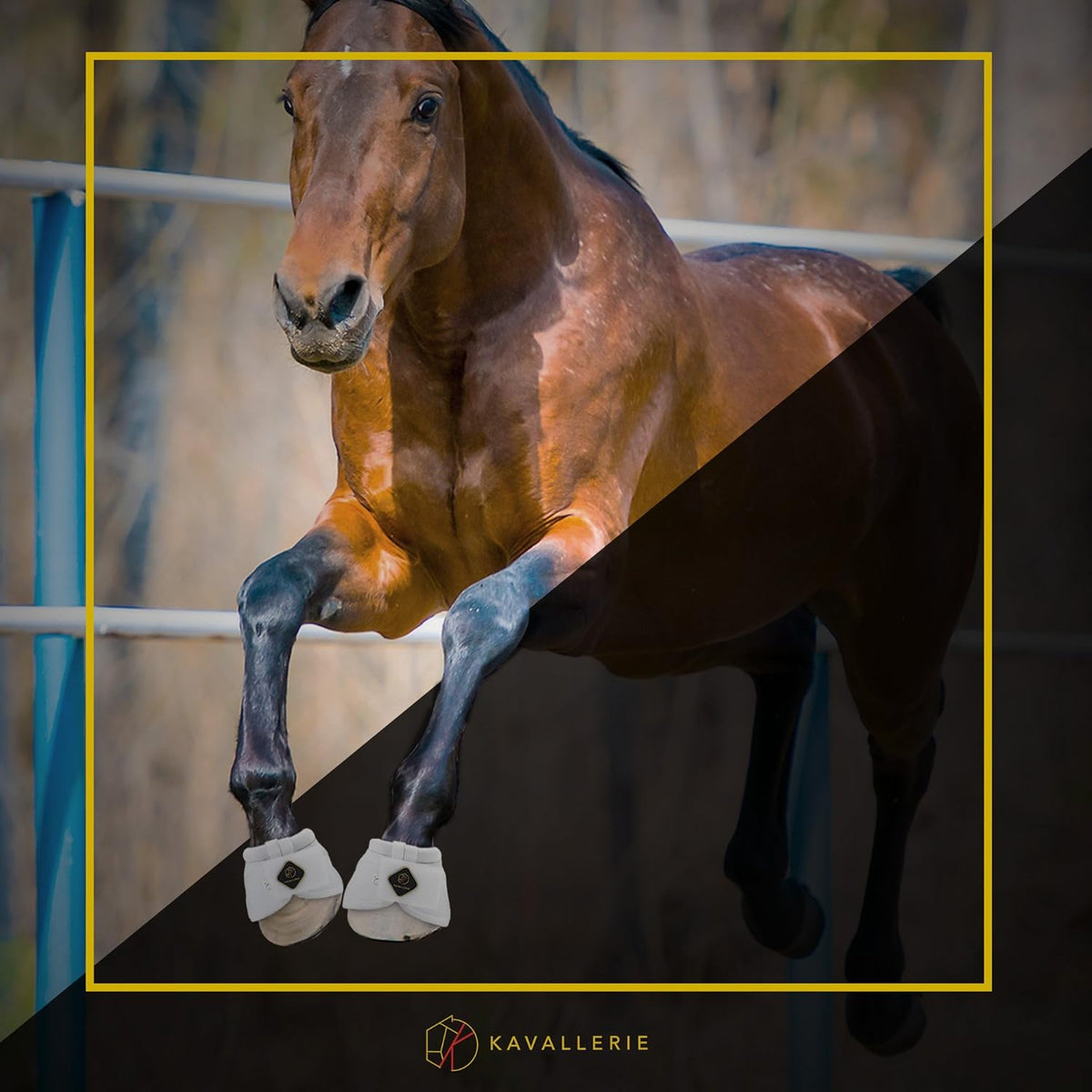 Kavallerie overreach prevention boots for horses showing water resistant material texture.