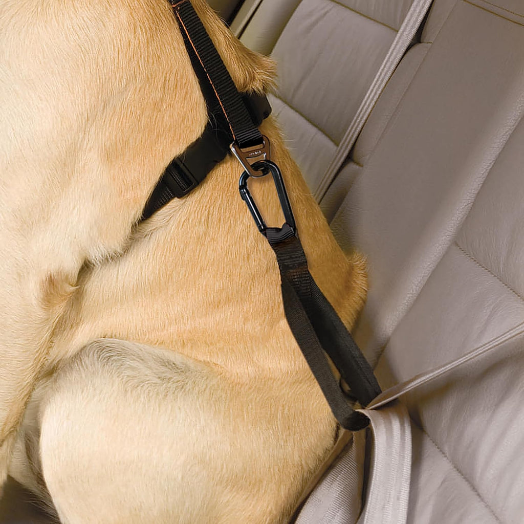 Kurgo dog car restraint tether attached to seatbelt buckle