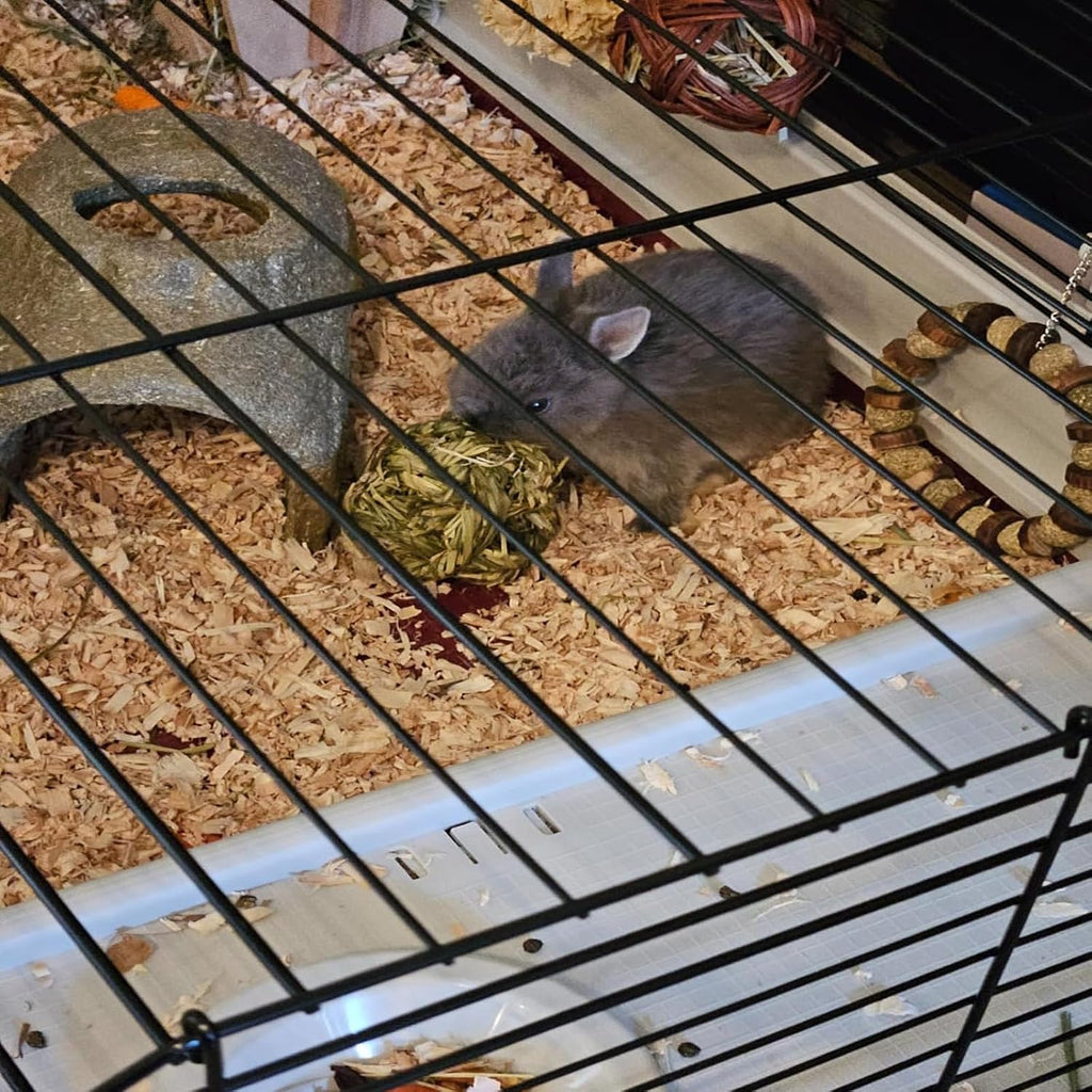 Biodegradable hay chew toys for household furniture protection from pets