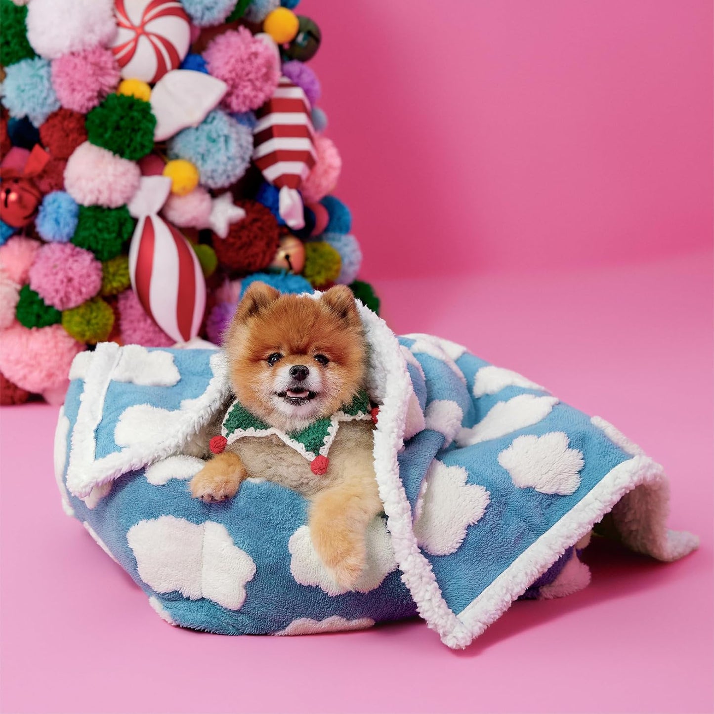 Water droplets pooling safely on the surface of the LE SURE waterproof pet throw