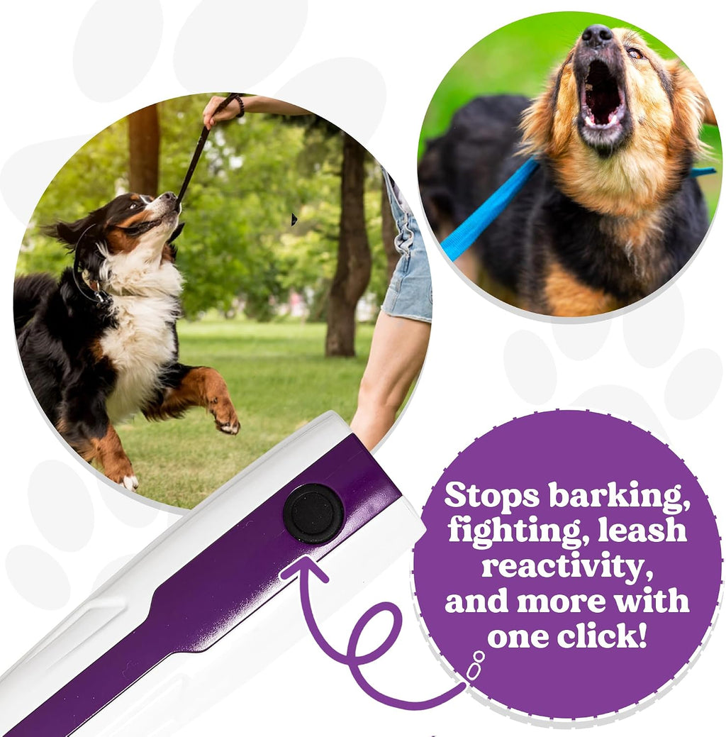 Doggie Don't rechargeable dog deterrent device in hand