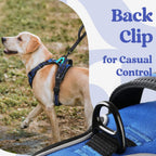 Rabbitgoo large dog harness with lockable neck buckle detail