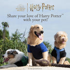 Back view of official Harry Potter rope frisbee