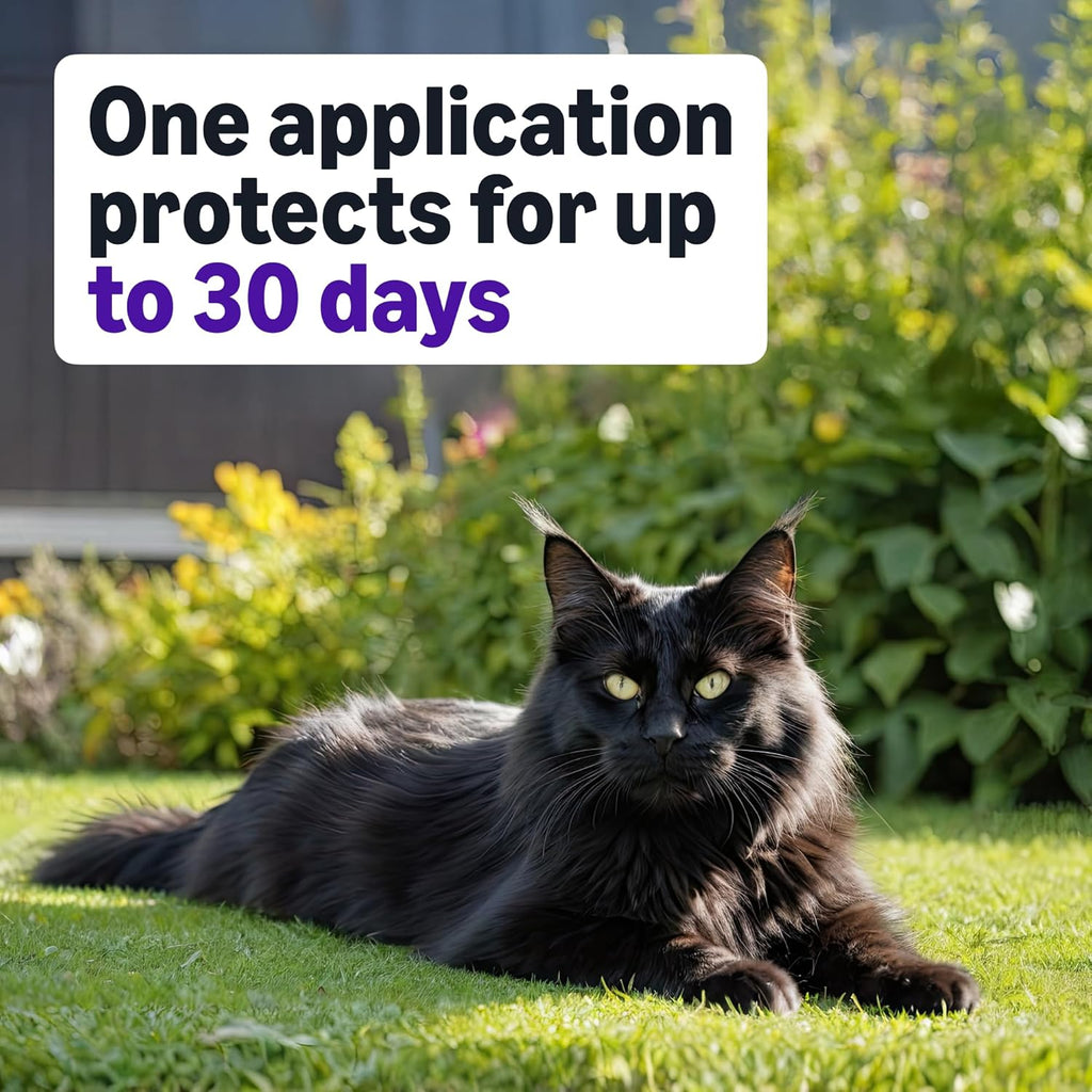 Fast acting flea control formula for large cats back label instructions