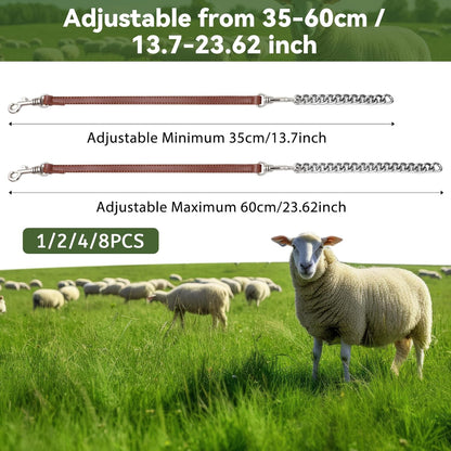 Misdary adjustable livestock halter showing the durable silver metal links and premium stitching