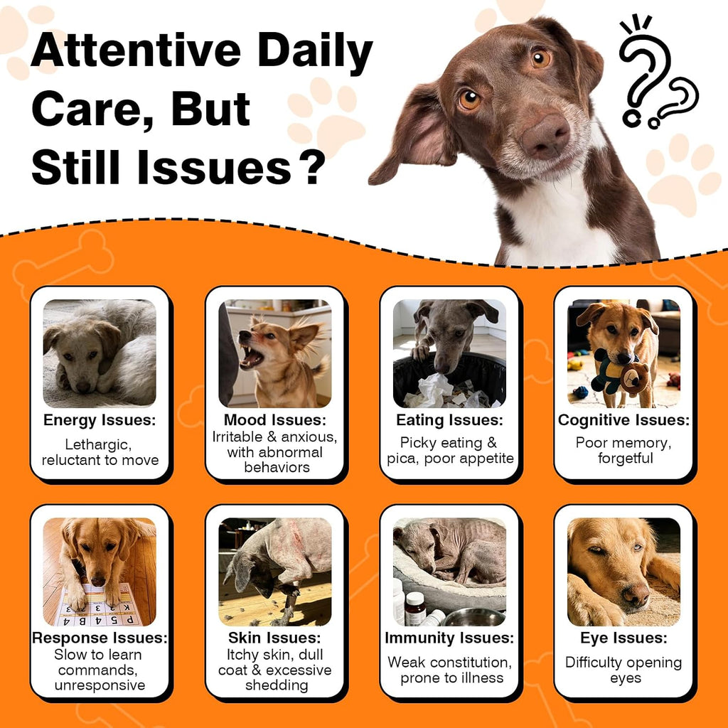 TzzyiC senior dog cognitive support supplement dosage instruction label