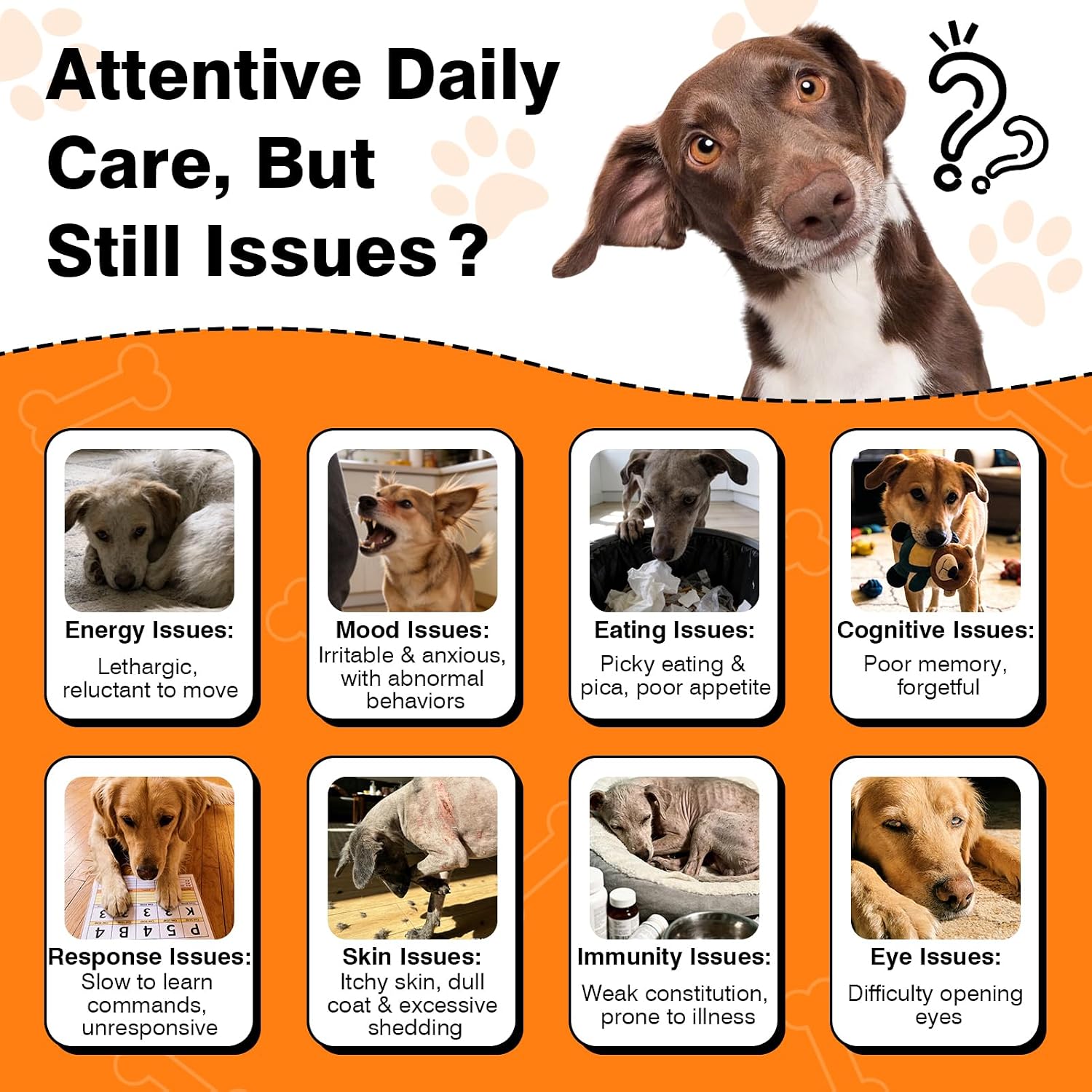 TzzyiC senior dog cognitive support supplement dosage instruction label