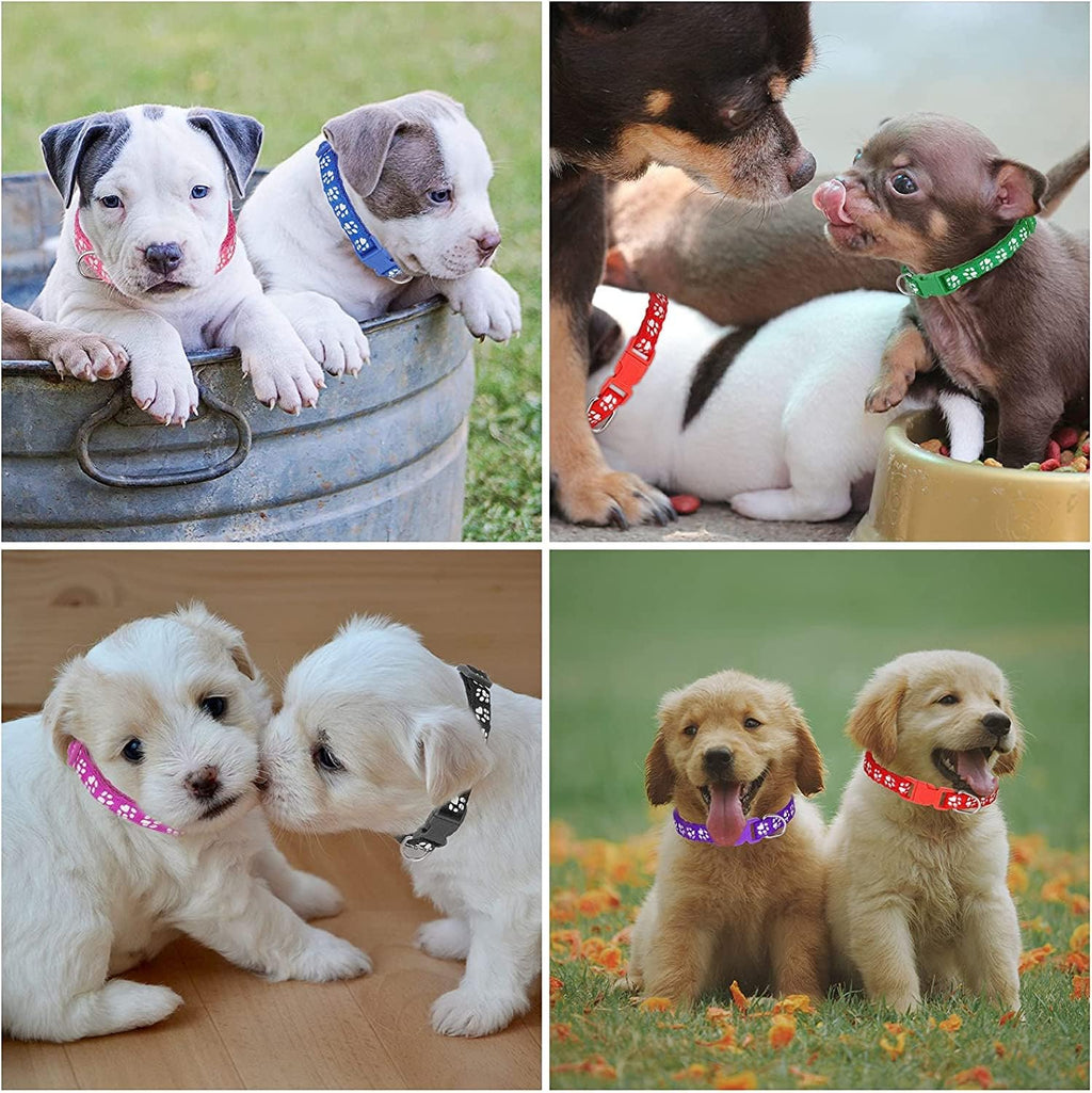 Chenkaiyang puppy collars with bells and D-ring