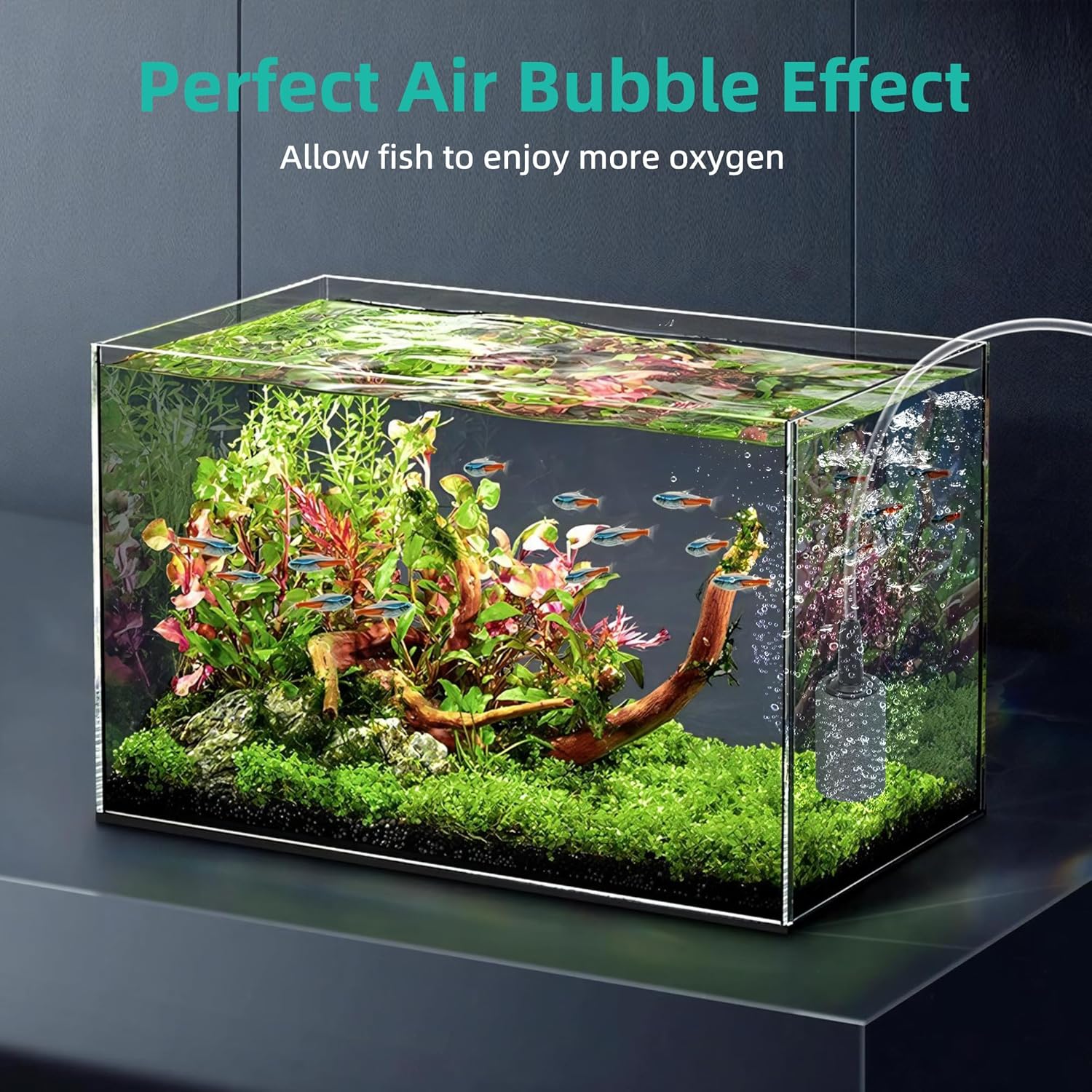 DaToo fish tank bubble diffuser showing fine mist bubble distribution underwater.