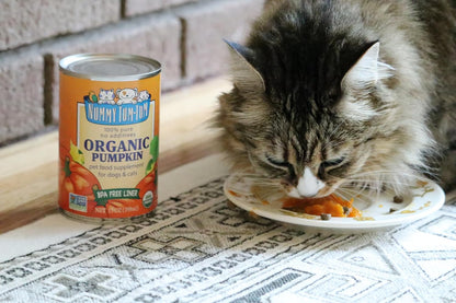 Non GMO certified pure pumpkin puree food bowl topper for dogs.