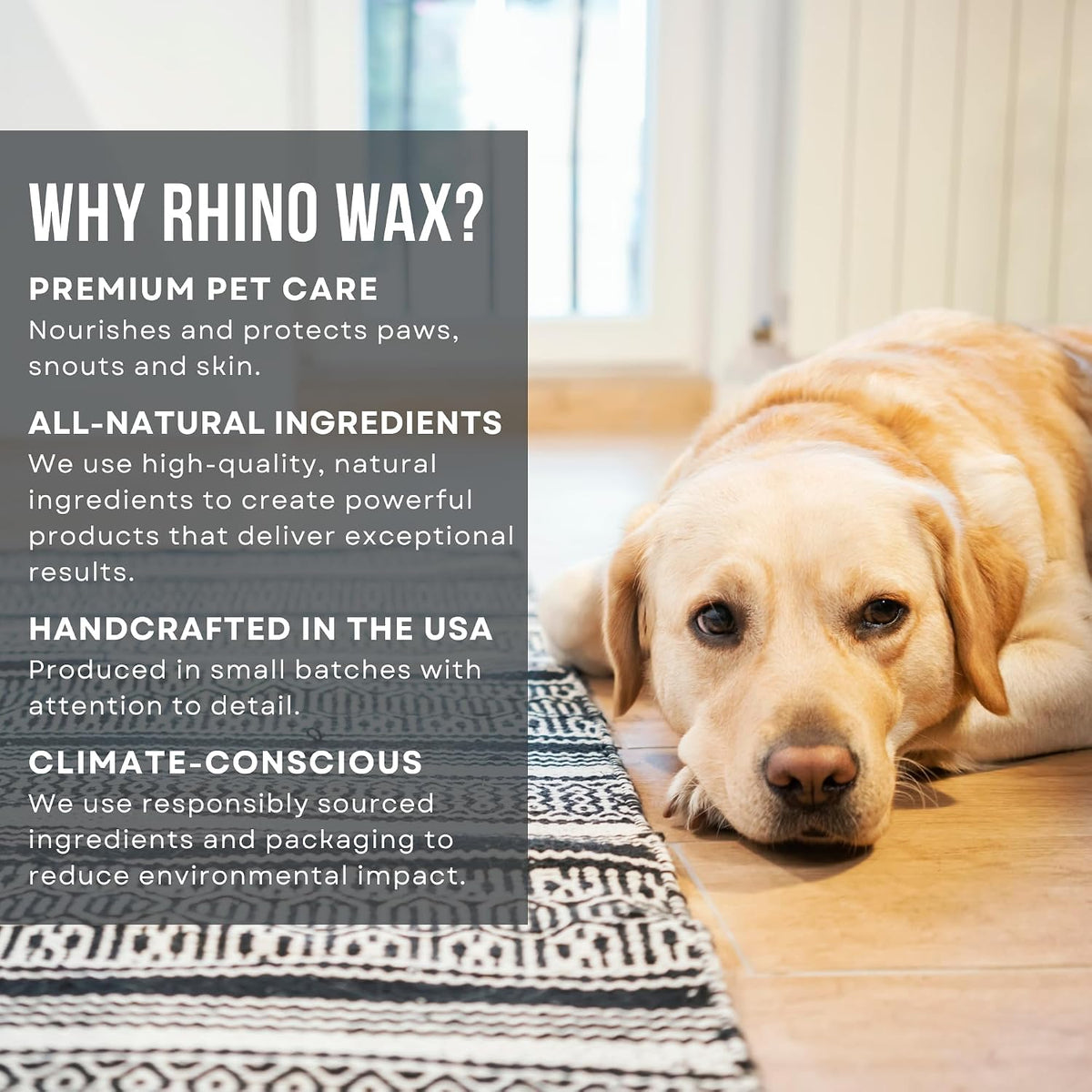 Healthy dog paw pads after using Rhino Wax street balm