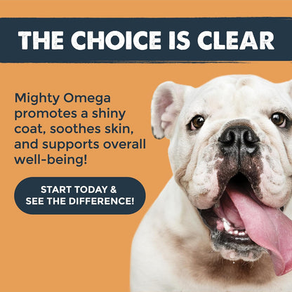 USA imported salmon oil chews with EPA and DHA for dogs