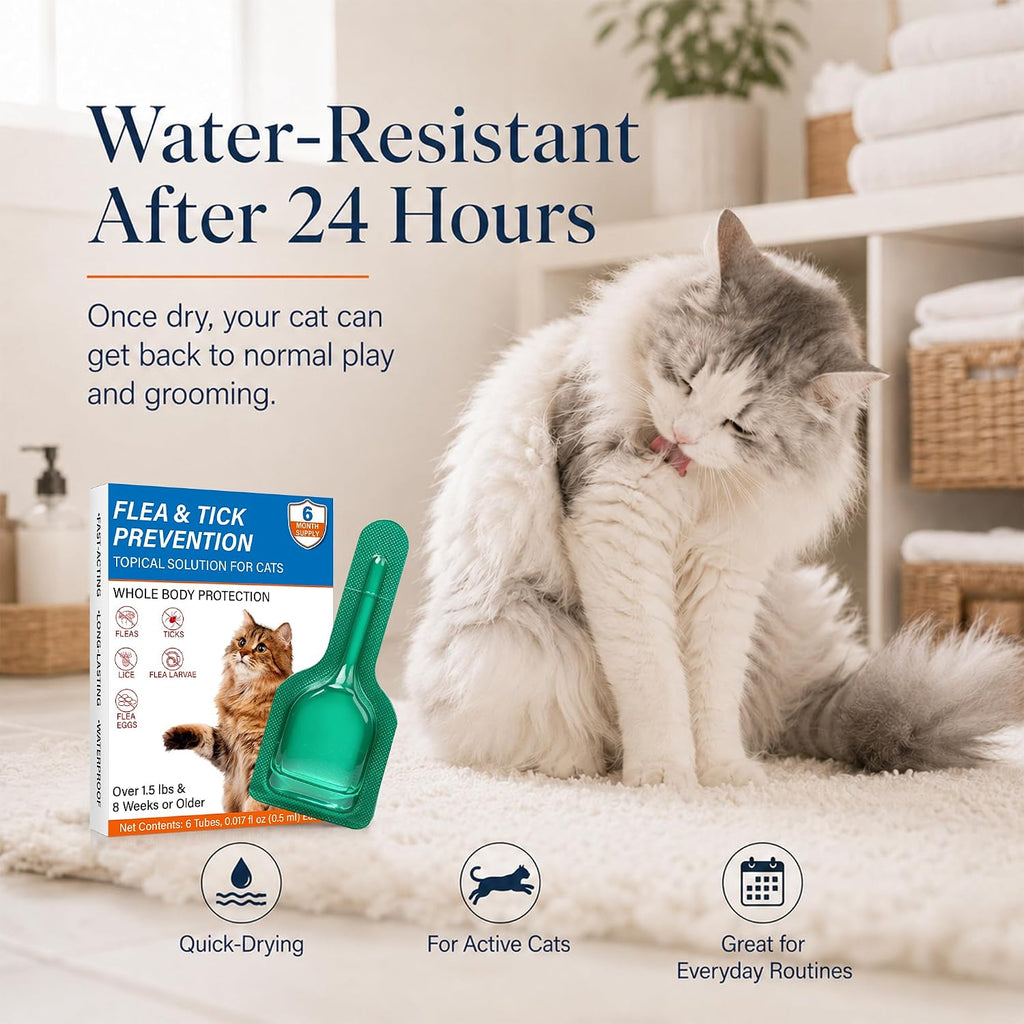 Six month supply flea and tick drops for cats