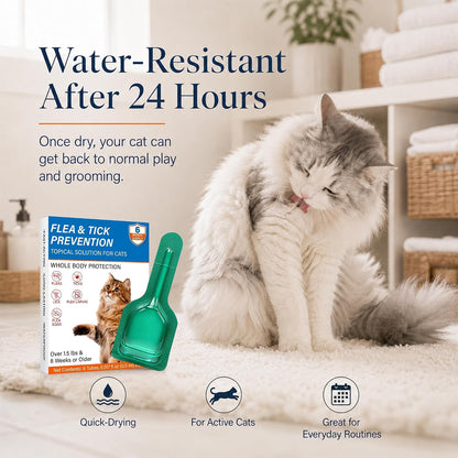 Six month supply flea and tick drops for cats