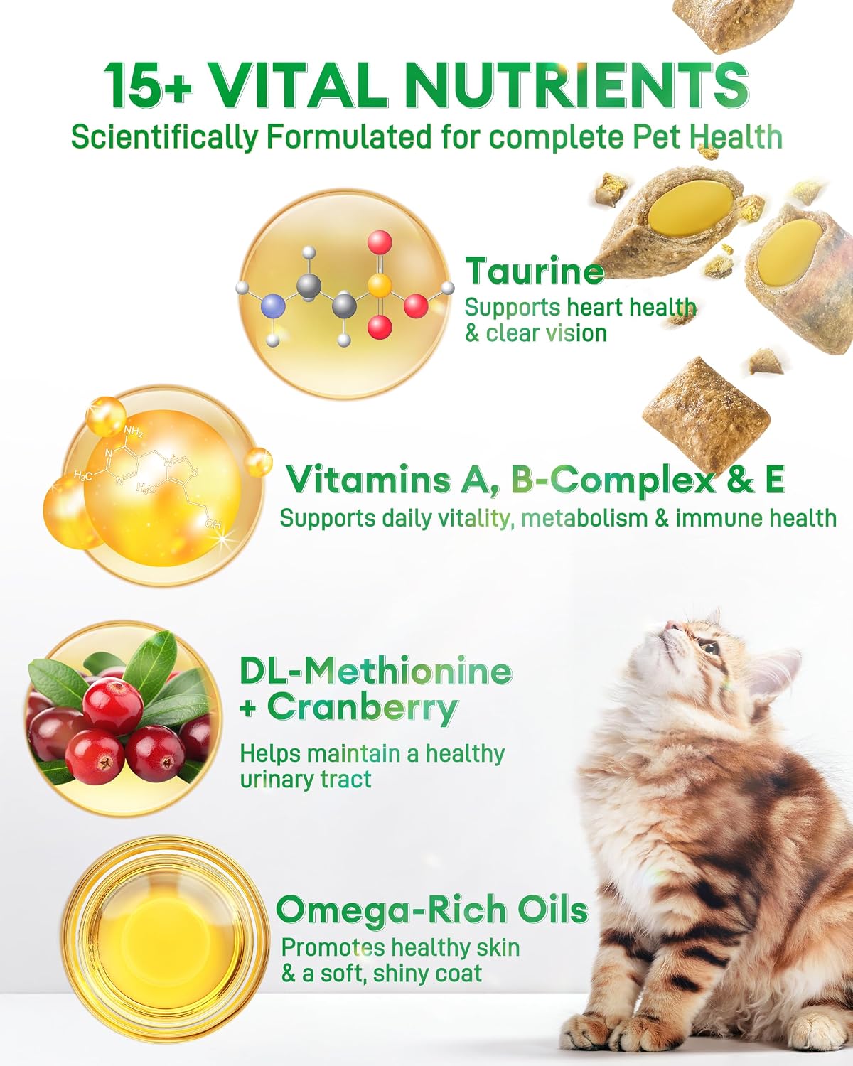 Feline wellness supplement jar highlighting taurine and immune system benefits