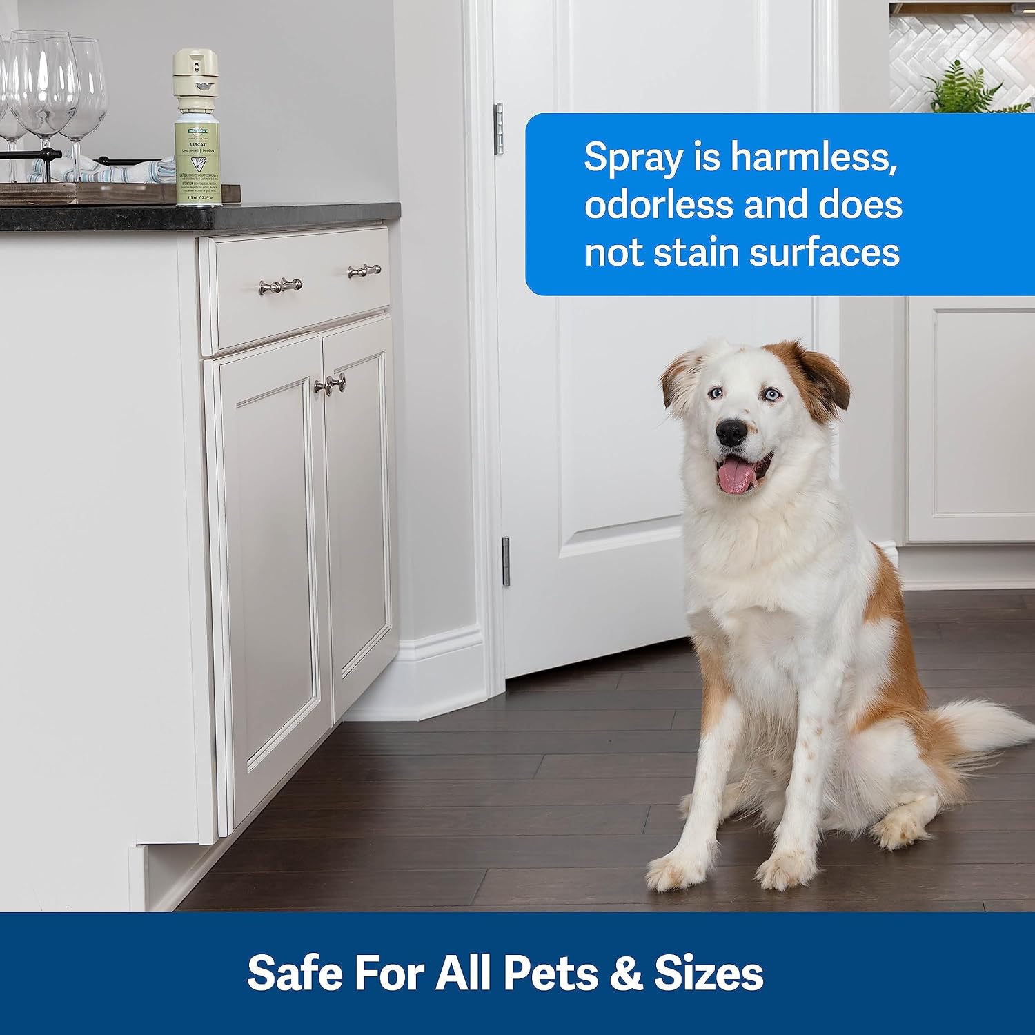 Authentic PetSafe SSSCAT first generation compatible training refill canister