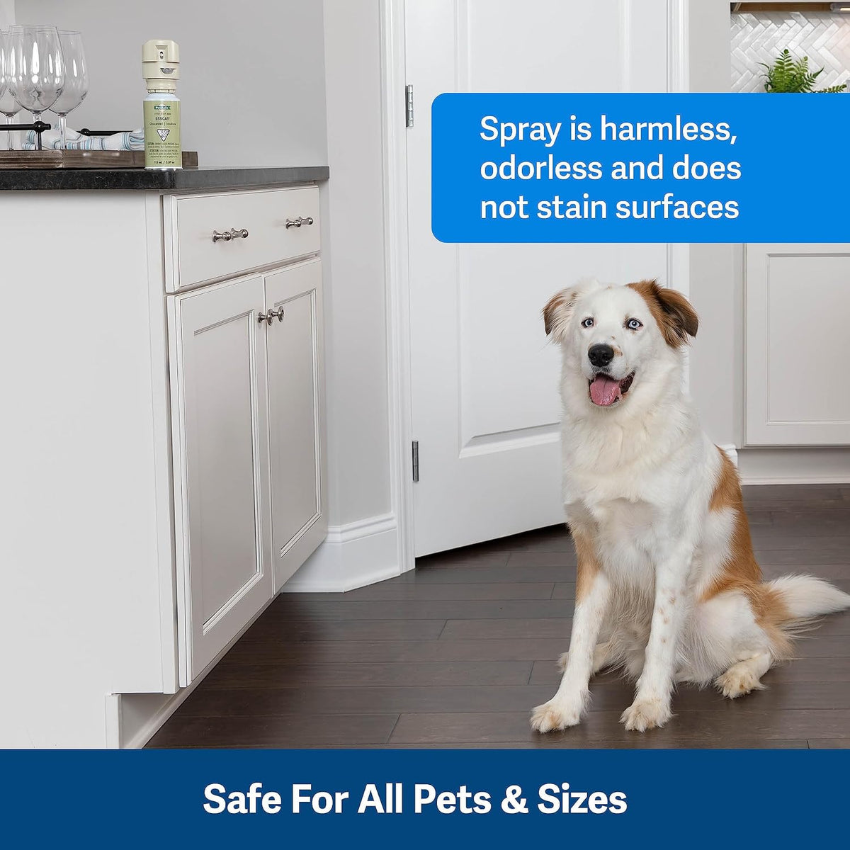 Authentic PetSafe SSSCAT first generation compatible training refill canister