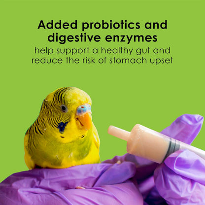 Kaytee hand feeding formula suitable bird species list