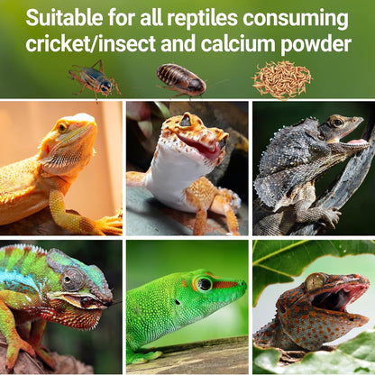 Repti Zoo insect calcium duster for bearded dragons