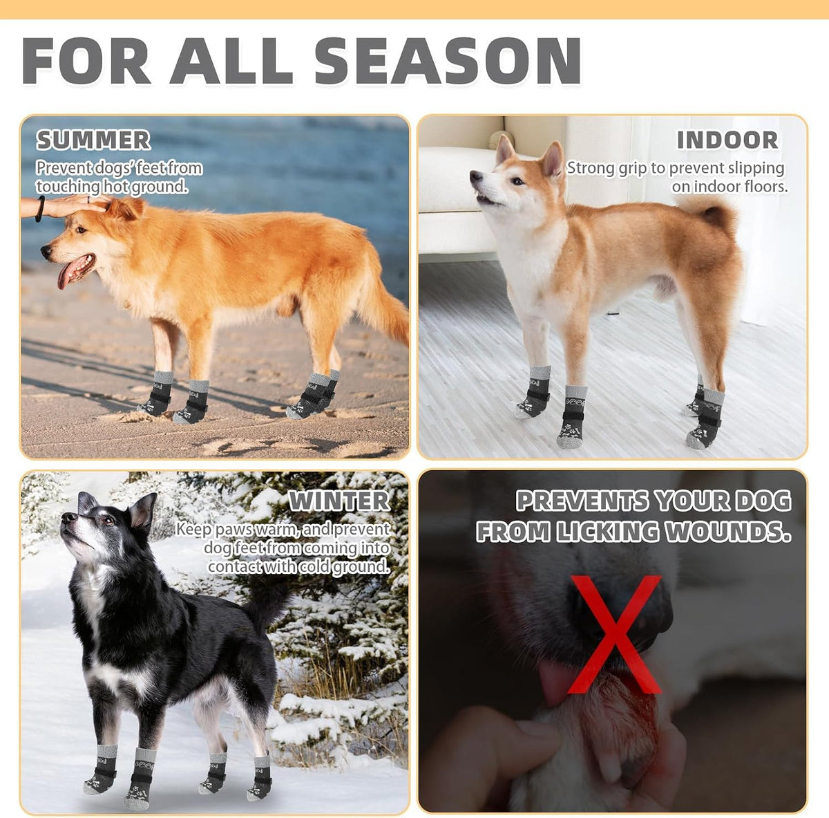 Kooltail paw protector socks demonstrating traction on pavement