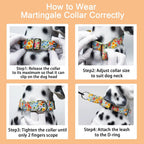 Martingale collar hardware details for dog training