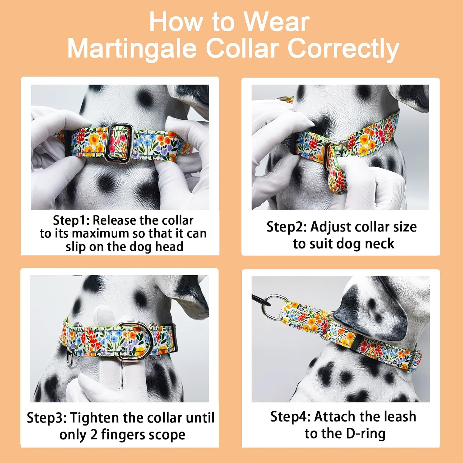 Martingale collar hardware details for dog training