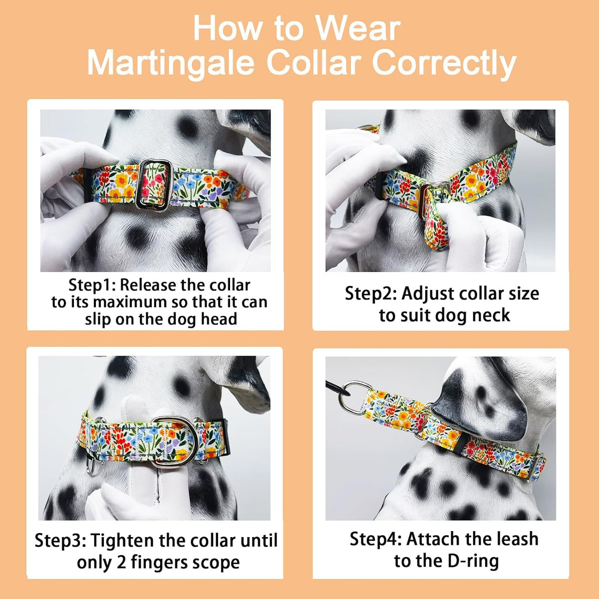 Martingale collar hardware details for dog training