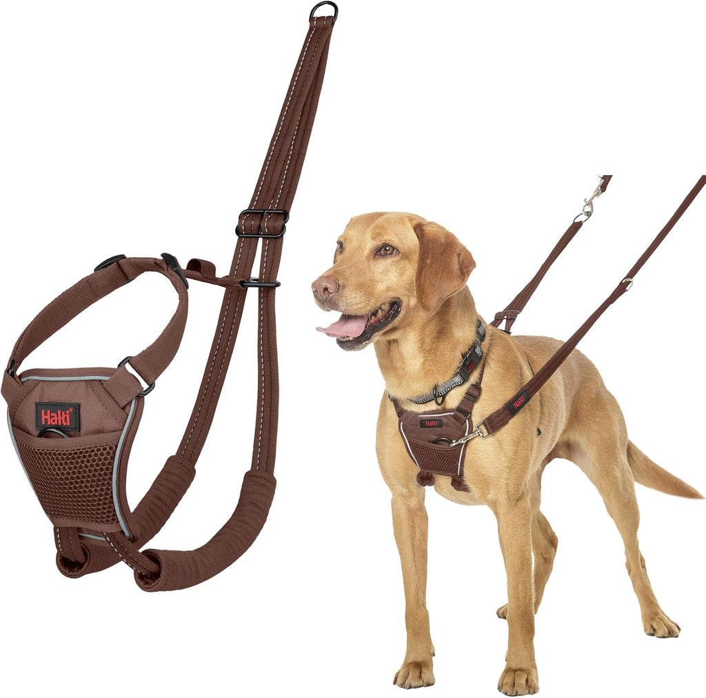 Halti No Pull Harness - Stop Your Dog Pulling on the Leash. Adjustable, Lightweight and Easy to Use. Reflective Dog Training Harness for Medium Dogs (Size M, Black) - Image 13