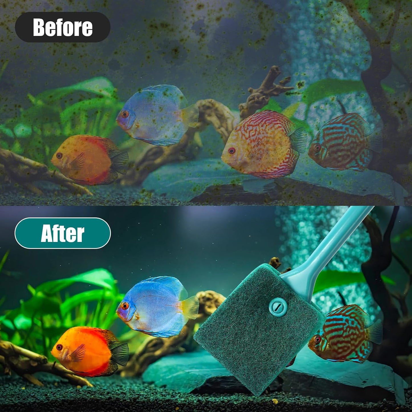 Aquaneat twelve point five inch long handle aquarium brush reaching deep into a glass fish tank.
