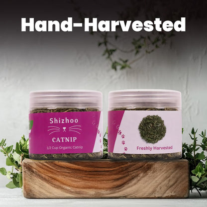 Airtight lid closure on the Shizhoo catnip jar to preserve herb freshness