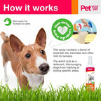 Zooflair 8 Fluid Ounce non-toxic dog training spray bottle