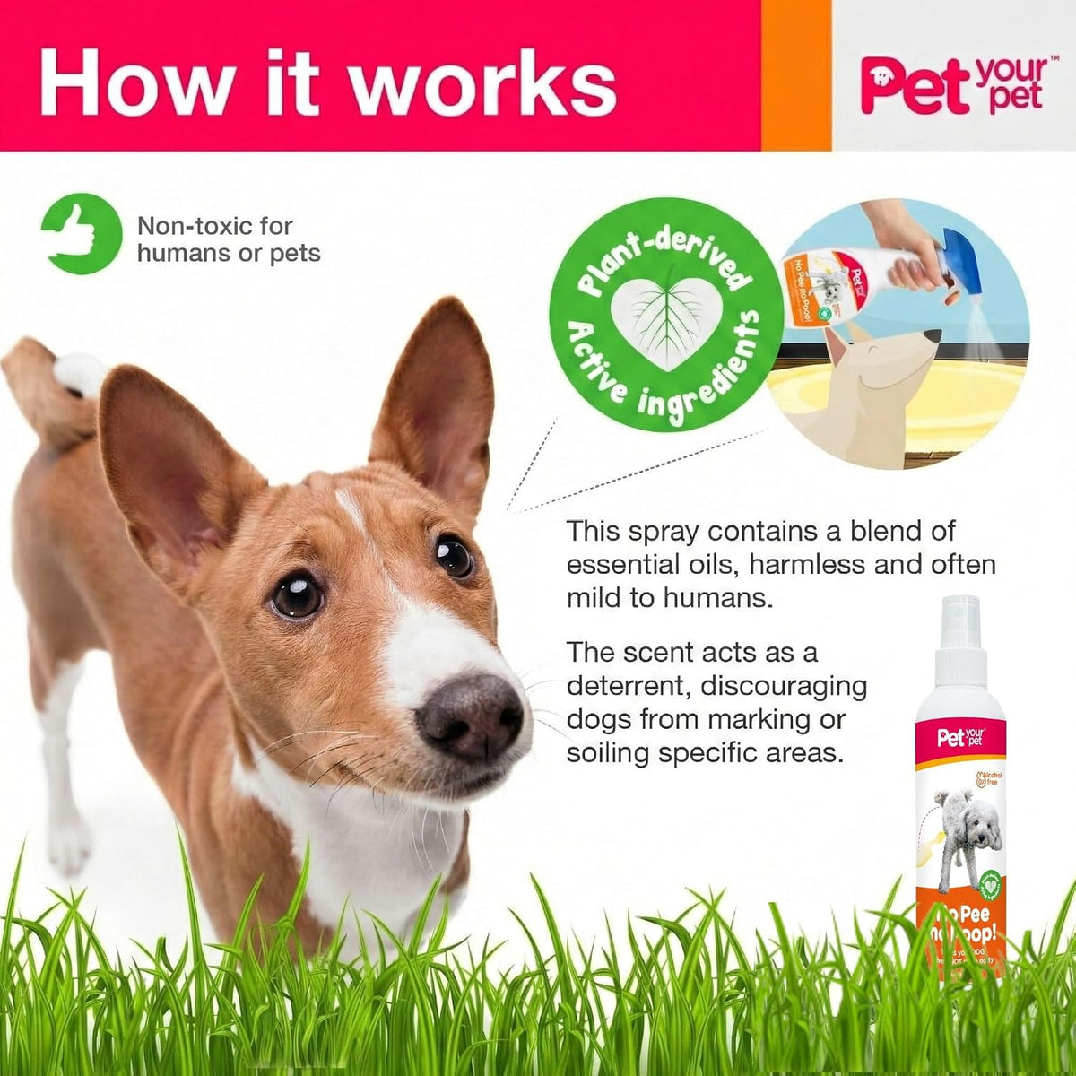 Zooflair 8 Fluid Ounce non-toxic dog training spray bottle