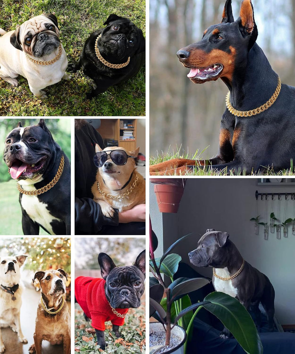 Hypoallergenic smooth polished gold dog chain collar side view