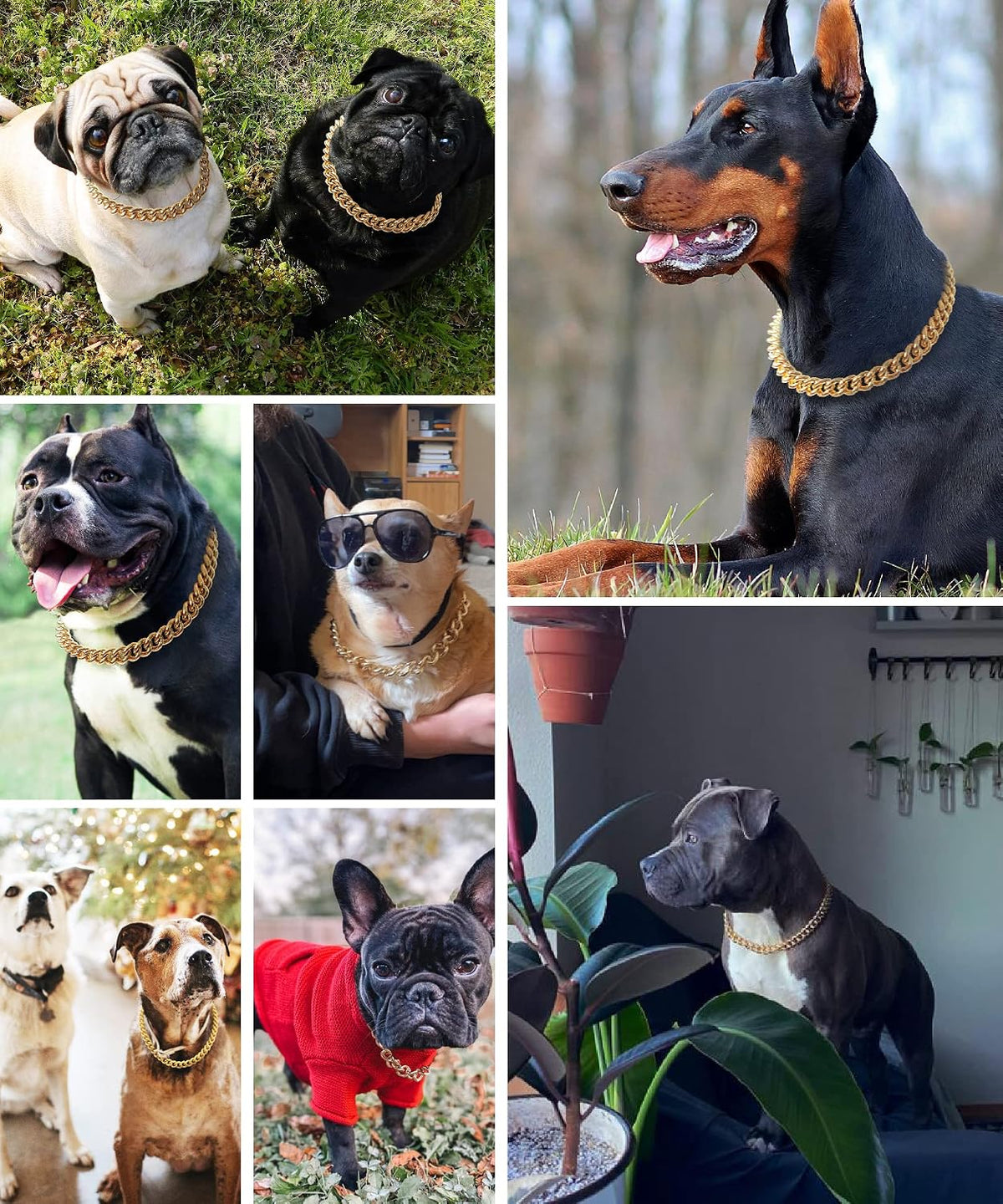 Hypoallergenic smooth polished gold dog chain collar side view