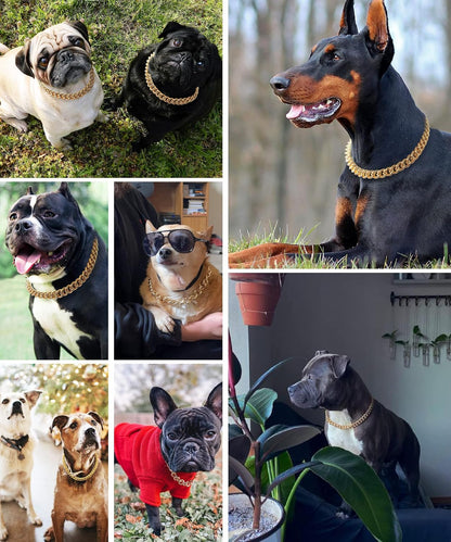Hypoallergenic smooth polished gold dog chain collar side view