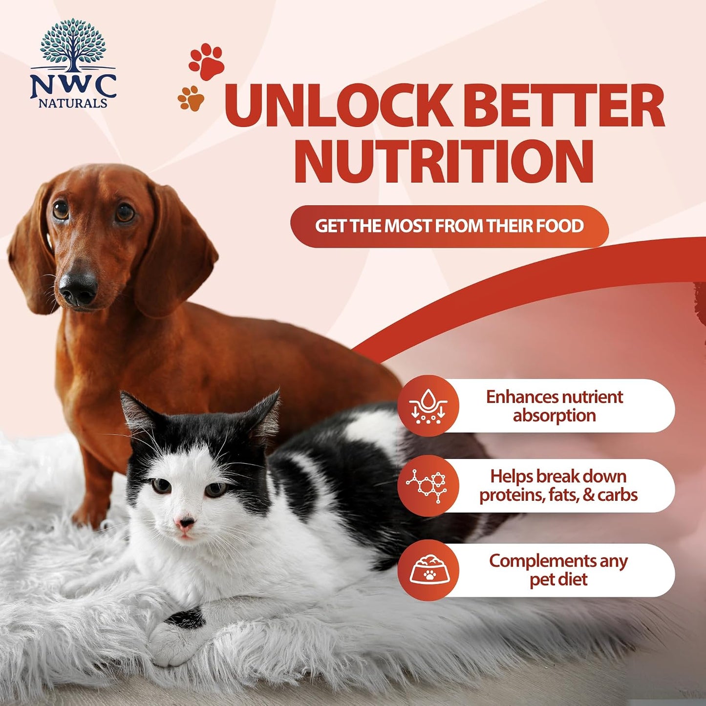 Unflavored digestive enzyme powder for cats and dogs serving scoop demonstration