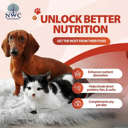 Unflavored digestive enzyme powder for cats and dogs serving scoop demonstration