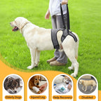 Lianzimau canine rehabilitation sling demonstrating four point support
