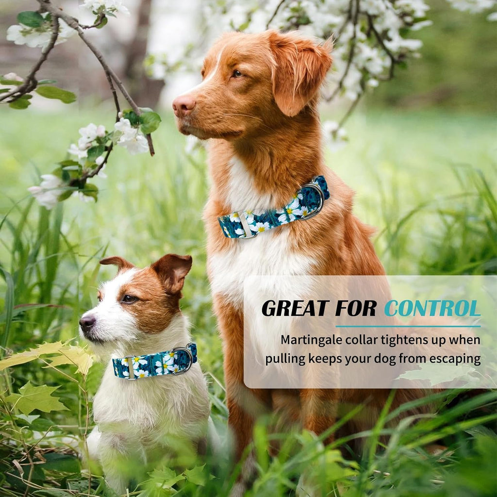 Hikiko green daisy floral pattern slip on dog collar details