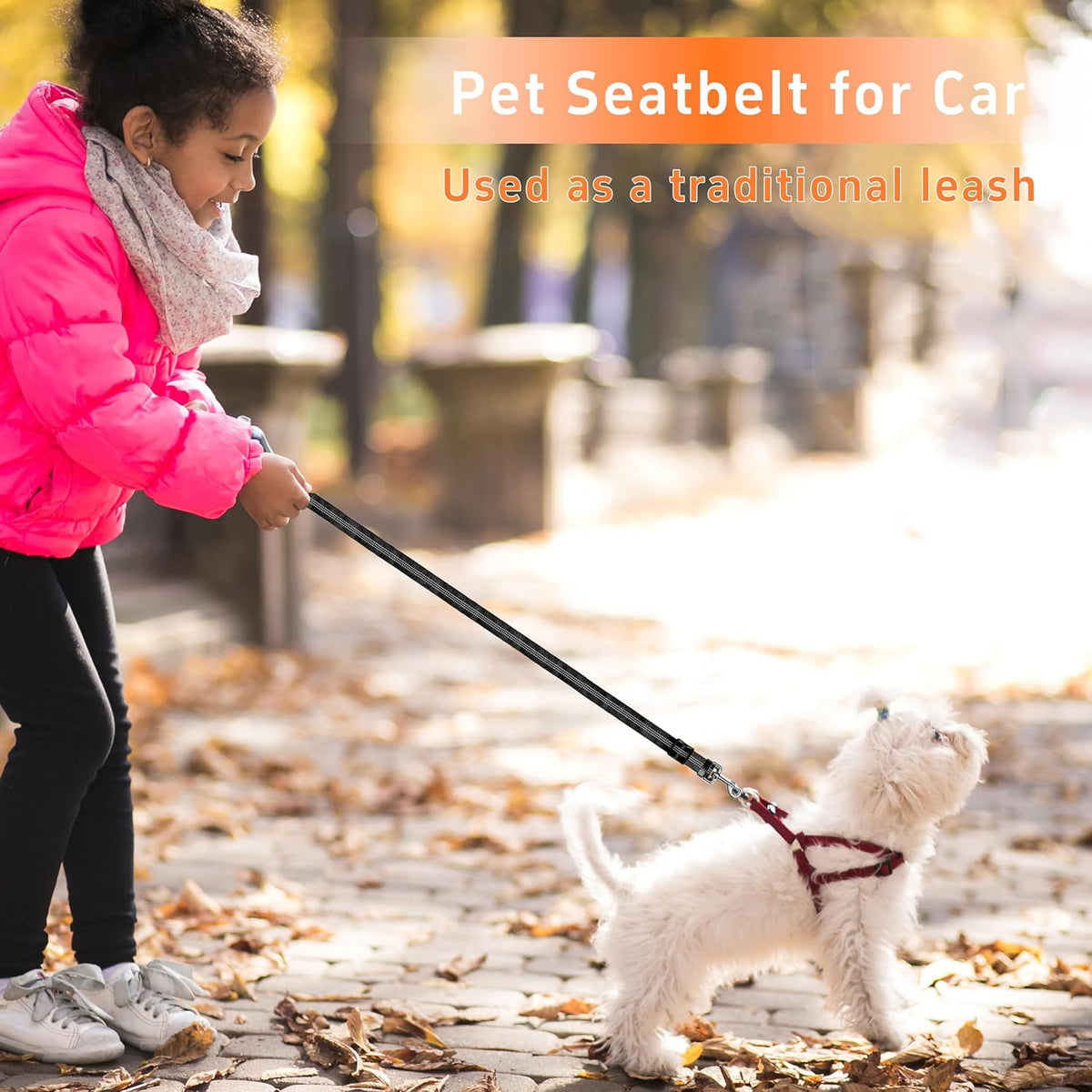 3 piece dog travel safety kit with poop bag dispenser