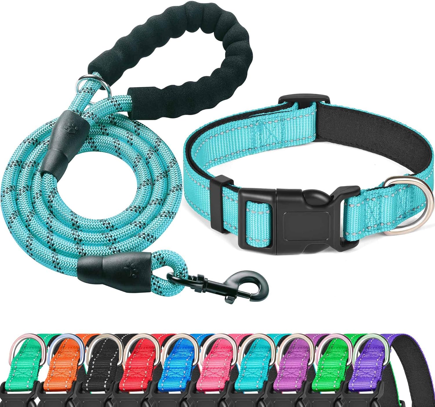 Ladoogo blue reflective dog collar and leash front view