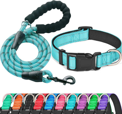 Ladoogo blue reflective dog collar and leash front view