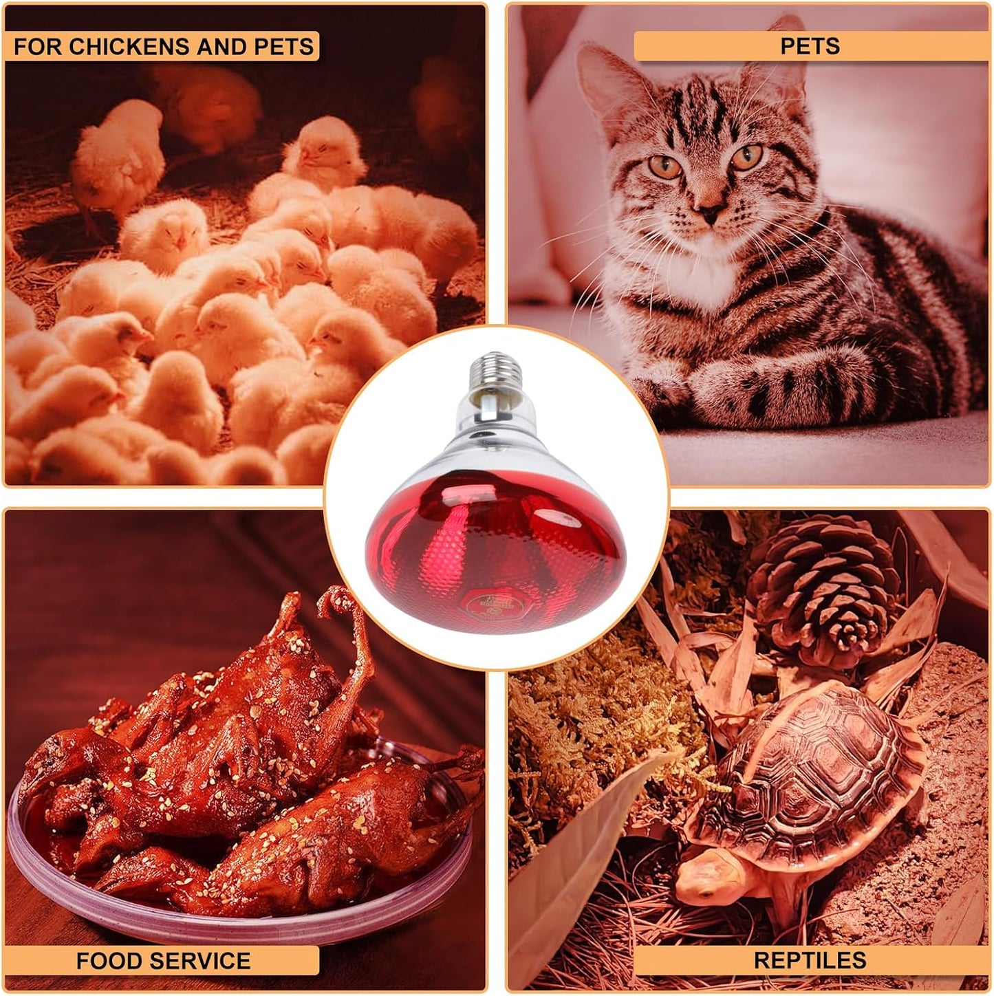 Heavy duty explosion resistant red heat bulb for reptile terrarium setups.