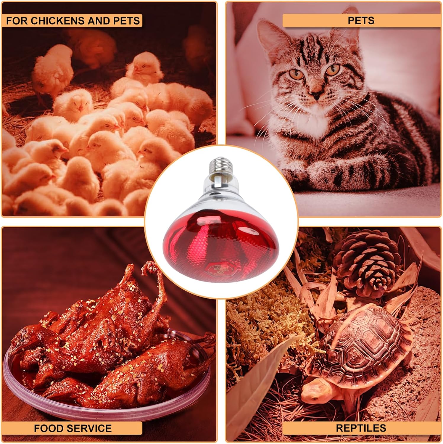 Heavy duty explosion resistant red heat bulb for reptile terrarium setups.