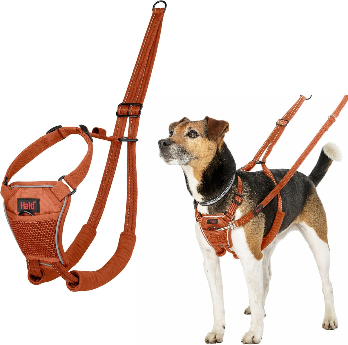 Halti No Pull Harness - Stop Your Dog Pulling on the Leash. Adjustable, Lightweight and Easy to Use. Reflective Dog Training Harness for Medium Dogs (Size M, Black) - Image 10