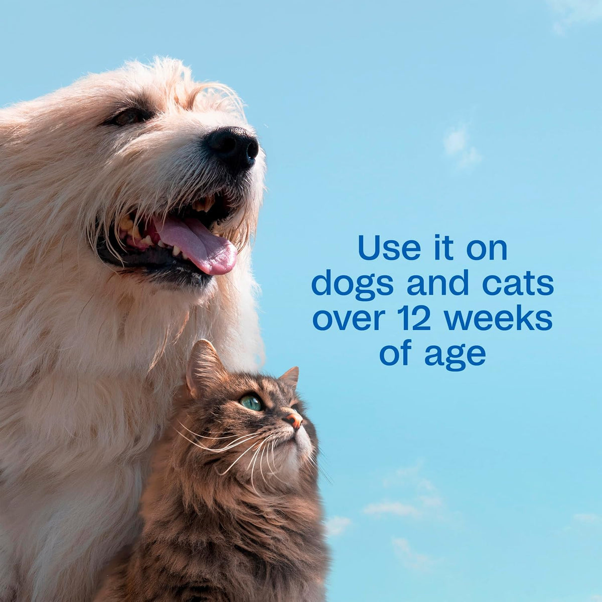 Application instructions for Adams pet dip