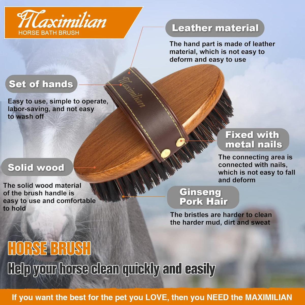 Maximilian horse grooming brush natural bristles detail