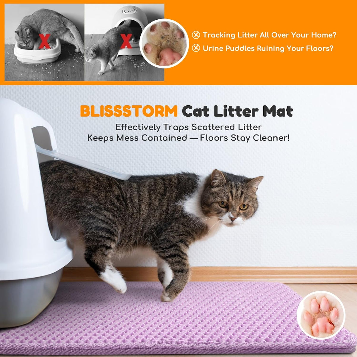 Authentic Blissstorm USA imported durable EVA cat play mat for indoor pets
