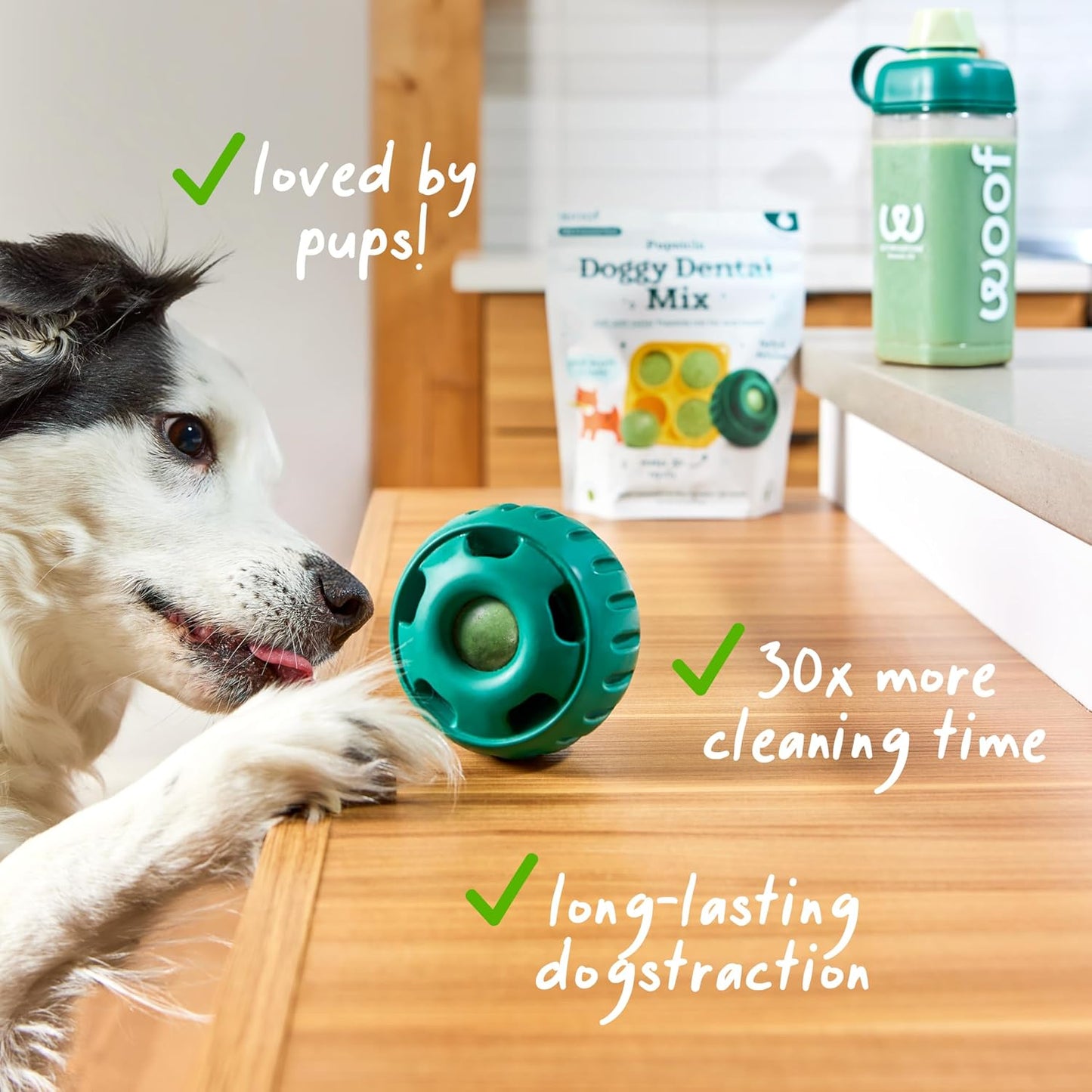 WOOF oral health supplement powder poured into a silicone freezing tray