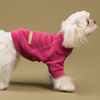 Fitwarm flexible pullover dog clothes on a small puppy model.